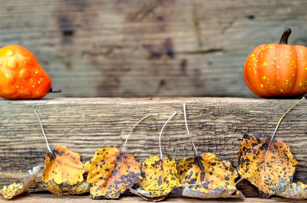 De herfst achtergrondconcept close-upbladeren op de achtergrond van oud bruin raad en exemplaar