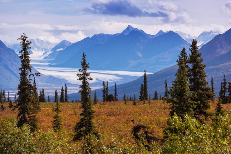 Foto de herfst in alaska