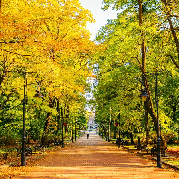 De herfst komt eraan uitzicht op stadspark met gele en groene bomen