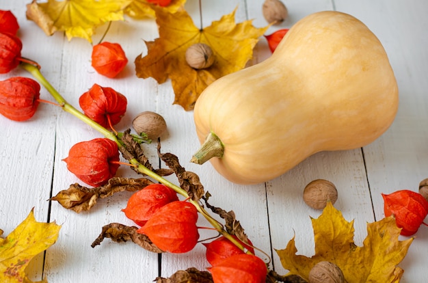 De herfst landelijke scène met pompoen en physalis op witte houten achtergrond