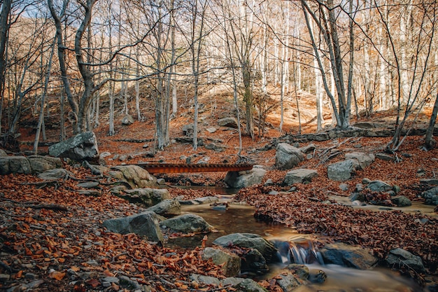 De herfst lange blootstelling van een rivier die onder een brug tussen de rotsen en kleurrijke bladeren in de grond overgaat