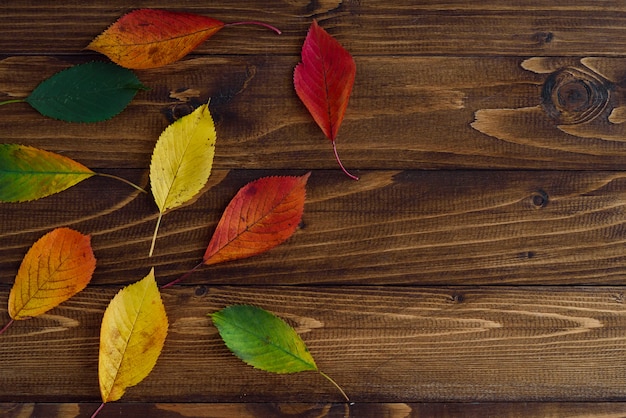 De herfst verlaat overgang van groen naar rood op houten achtergrond