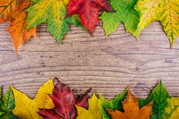 De herfstachtergrond met de kleurrijke bladeren van de dalingsesdoorn op rustieke houten lijst