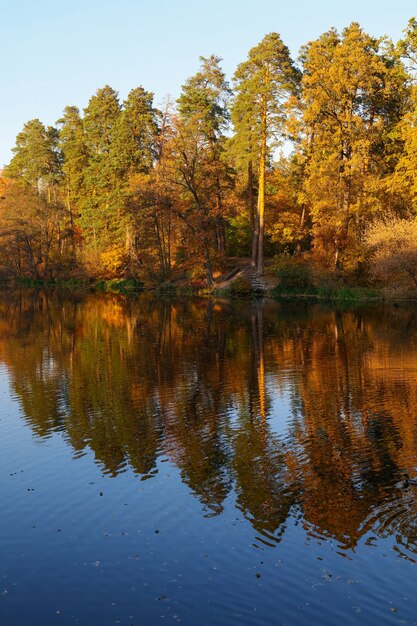 De herfstbomen onder blauwe hemel met bezinning in kalm meerwateroppervlak