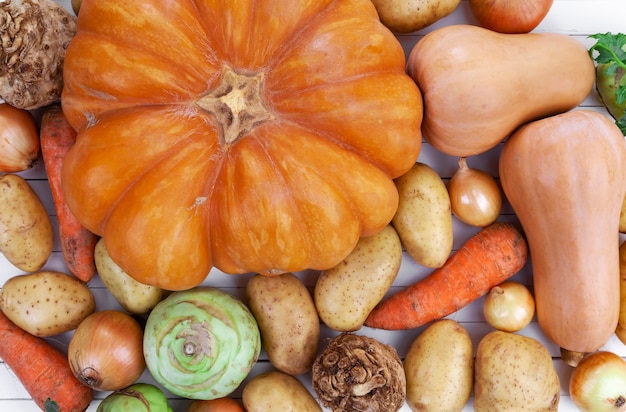 De herfstgroenten op witte houten lijstachtergrond, hoogste mening