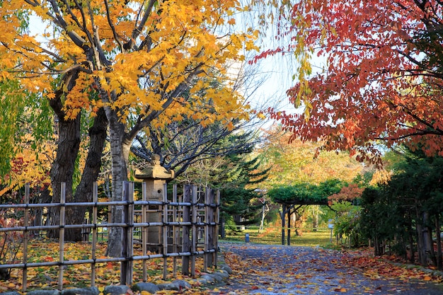 De herfstlandschap bij Nakajima-Park, Sapporo-Stad, Japan.