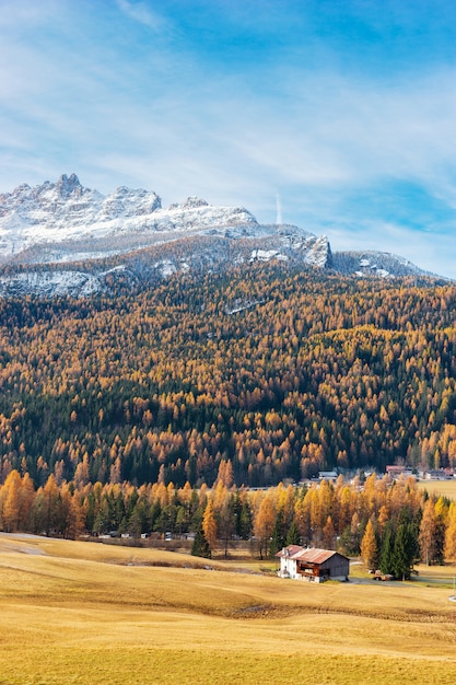 Foto de herfstlandschap met bergen, geel bos en huis, oostenrijk