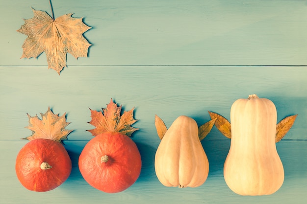 De herfstpompoenen en bladeren op blauw hout