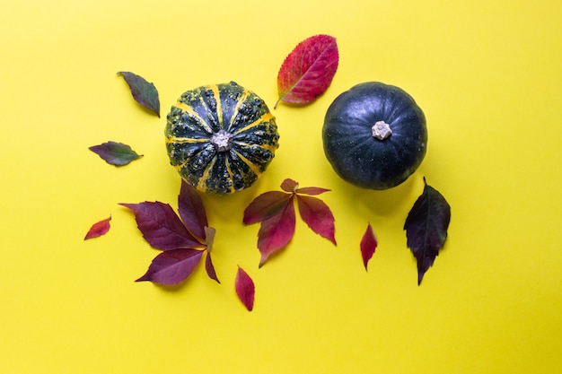 De herfstsamenstelling met kleine decoratieve pompoenen en de herfstbladeren.