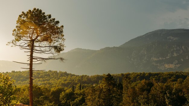 De heuvels van de Provence Frankrijk en de voet van de bergen van Alpen in de zomer dichtbij Grasse