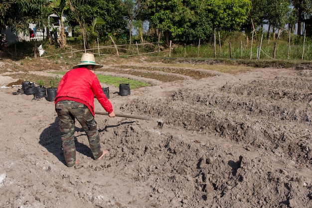 De holdingsspade van de vrouwenlandbouwer bij tuin die plantaardig flard doen