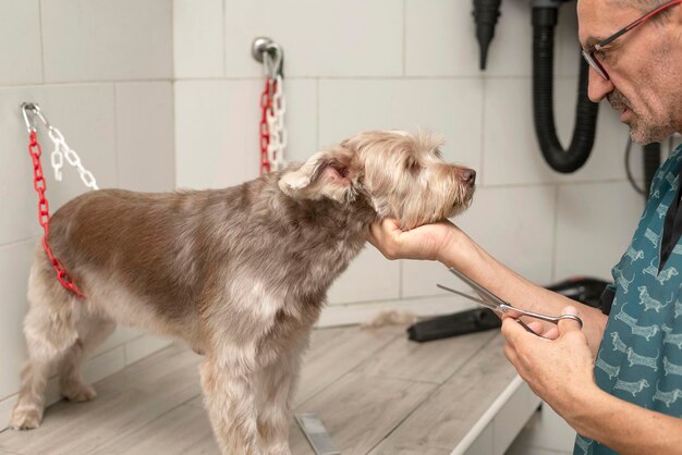 De hond in de professionele hondentrimsalon