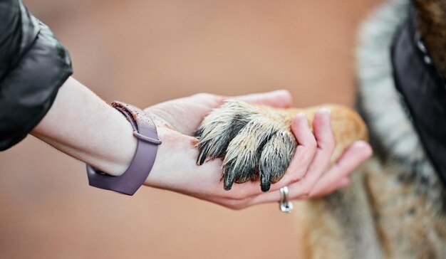 De hond is een heer Shot van een onherkenbare vrouw met een hondenpoot buiten