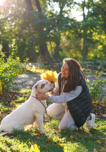 De hond speelt met de minnares in het park Close-up van een vrouw in een jas en een Amerikaanse bulldog die tussen de gele herfstbladeren in het park speelt