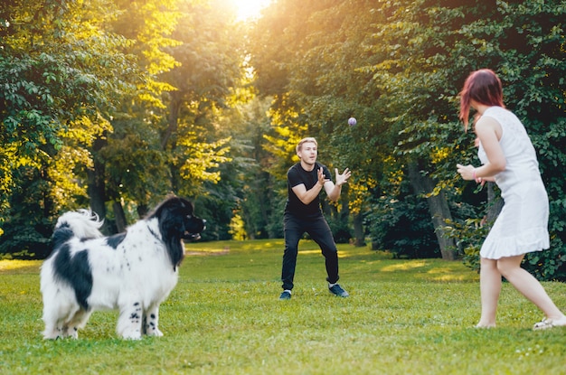 De hond van Newfoundland speelt met man en vrouw in het park