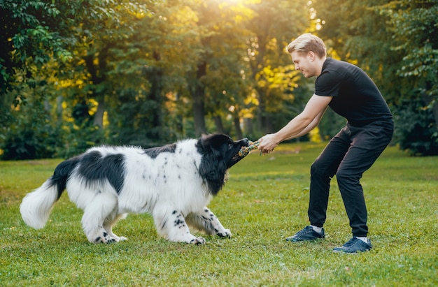 De hond van Newfoundland speelt met man en vrouw in het park