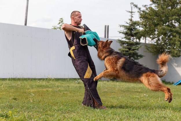 De hondeninstructeur leidt de les met de Duitse herdershond. De hond beschermt zijn baas.