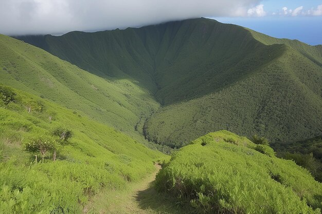 De hoogste groene berg van Guadeloupe