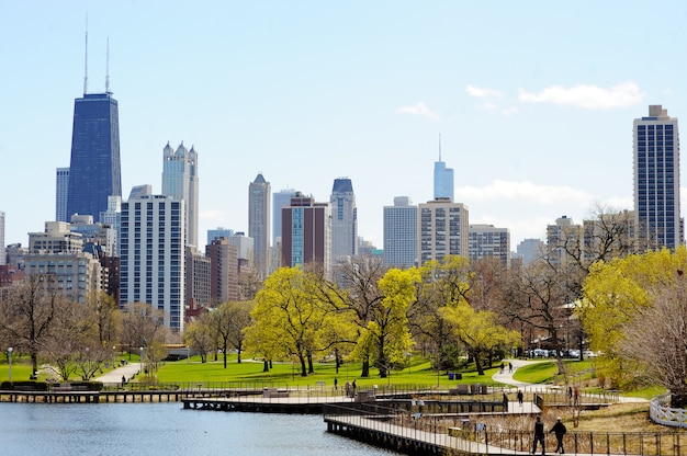 De horizon van Chicago met wolkenkrabbers die van Lincoln Park over meer worden bekeken