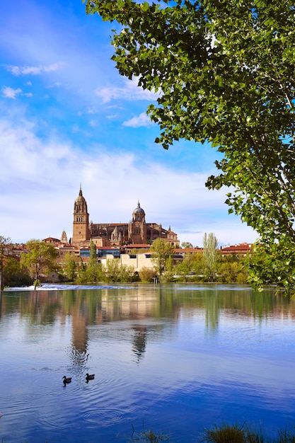 De horizon van Salamanca met Tormes-rivier Spanje