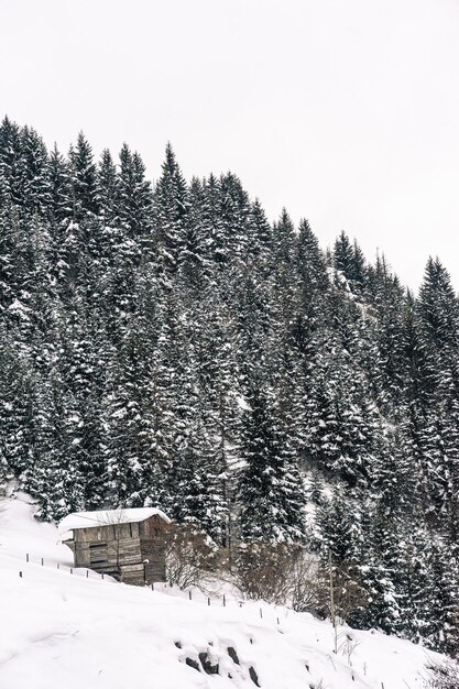 De houten berghuizen in de winter onder de sneeuw in Giresun, Turkije