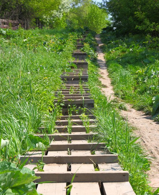 Foto de houten ladder bevindt zich op een heuvelhelling