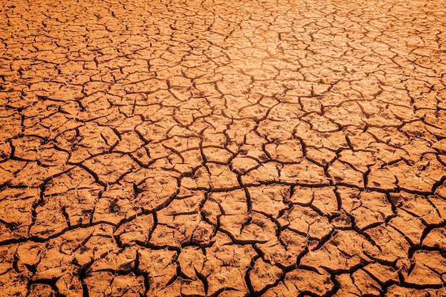 De impact van de opwarming van de aarde op door de zon gebarsten bodem en het verlies van alle flora en fauna