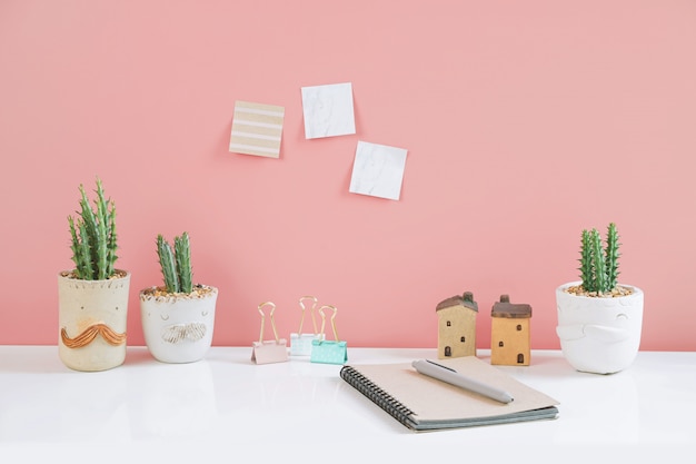 De ingemaakte installaties van het cactushuis op witte plank tegen roze muur.