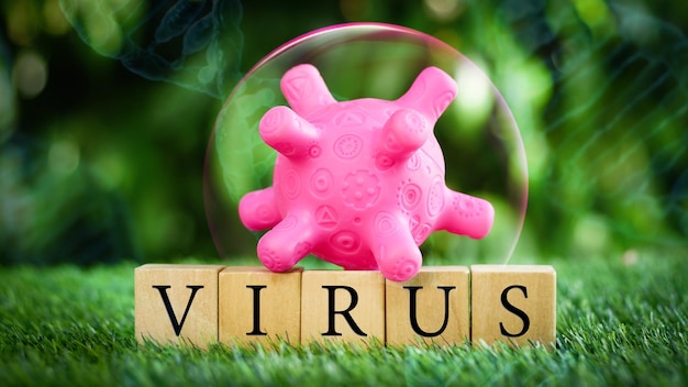 Foto de inscriptie virus uit houten kubussen en een roze virus prop model met abstract pictogram op natuurlijke milieu achtergrond medisch concept