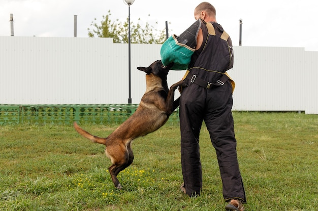 De instructeur leidt de les met de Belgische Herdershond. De hond beschermt zijn baas.