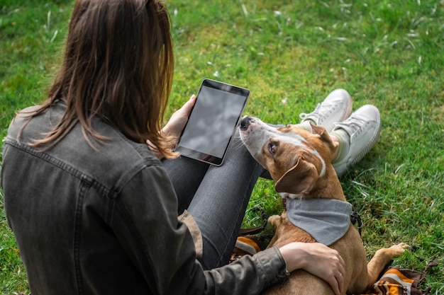 De jonge mooie vrouw met tabletcomputer zit bij gazon met haar leuk puppy. Vrouwelijke persoon surfen op internet buiten in het park met haar opgeleide Staffordshire Terriër hond