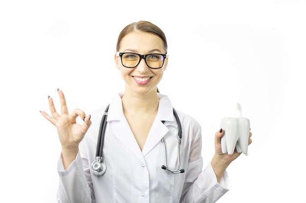 De jonge vrouwelijke arts in witte medische toga toont tandmodel en ok gebaar