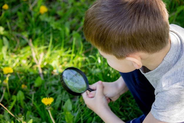 De jongen bekijkt de bloem door een vergrootglas