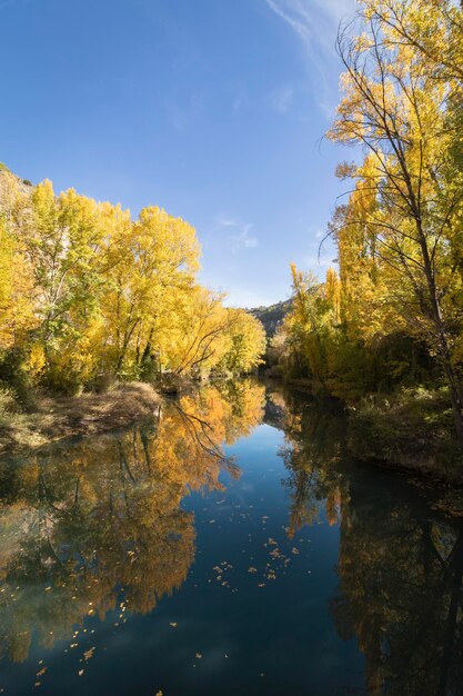 De Jucar-rivier in de herfst in Cuenca, Castilla La Mancha in Spanje. Herfstlandschap met bomen vol