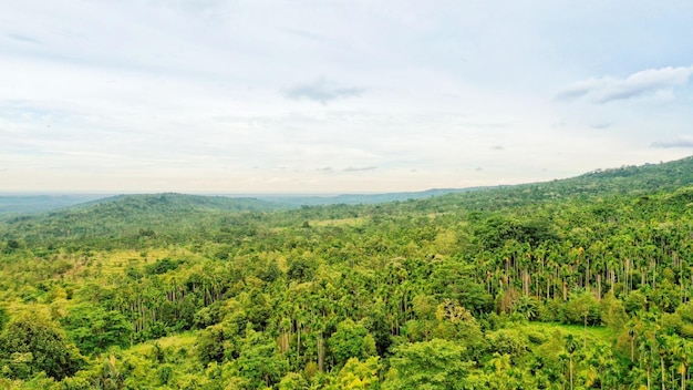 De jungle is het belangrijkste deel van de planeet.