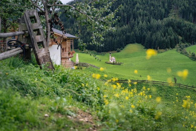 De kapel St Johann in de Val di Funes-vallei in Zuid-Tirol, Italië Gebied van bloeiende zomer