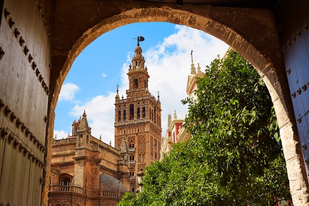 De kathedraal giralda van sevilla toren andalusia spanje