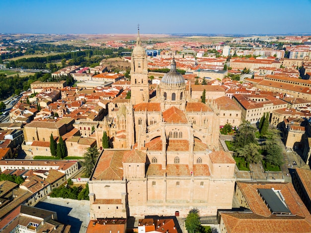 De kathedraal van Salamanca is een laatgotische en barokke kathedraal in de stad Salamanca, Castilië en León in Spanje