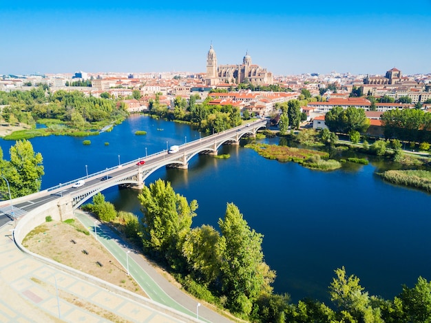 De kathedraal van salamanca is een laatgotische en barokke kathedraal in de stad salamanca, castilië en león in spanje