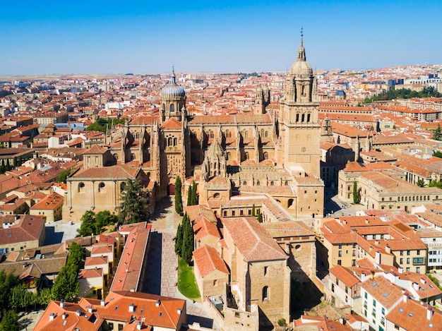 De kathedraal van Salamanca is een laatgotische en barokke kathedraal in de stad Salamanca, Castilië en León in Spanje