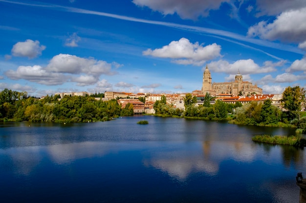 De kathedraal van Salamanca is een laatgotische en barokke kathedraal in de stad Salamanca