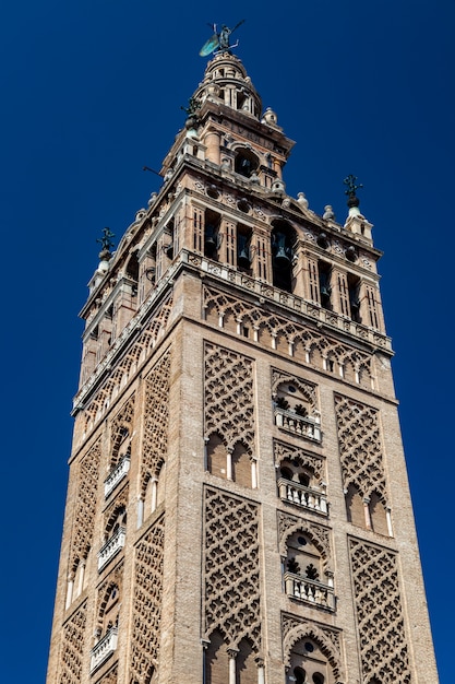 De kathedraal van sevilla en de giralda