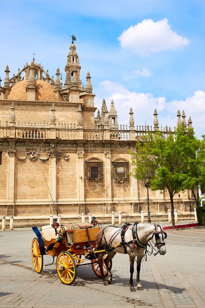 De kathedraalvoorgevel van Sevilla van Sevilla Andalusia