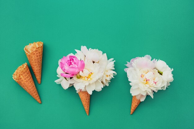 De kegels van het wafelroomijs met witte pioenbloemen op groen