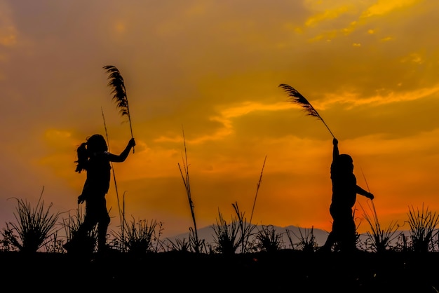 De kinderen rennen op de weide bij zonsondergang.