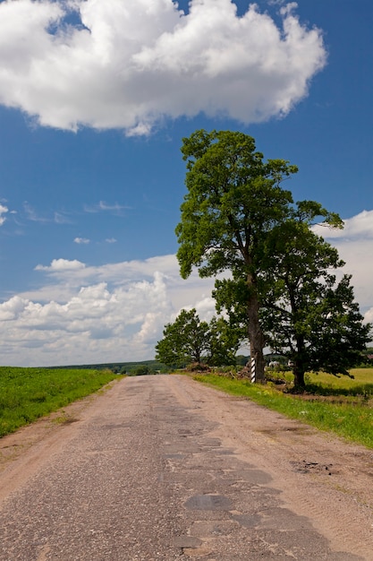 De kleine geasfalteerde weg die in landelijke gebieden ligt. Wit-Rusland