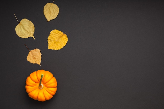 De kleine oranje pompoen verlaat zwartboekachtergrond