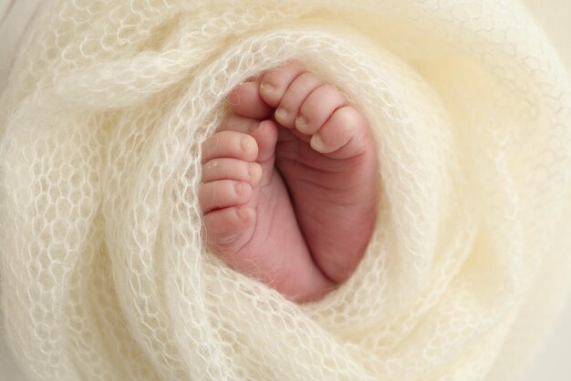 De kleine voet van een pasgeboren baby De zachte voeten van een nieuwgeboren baby in een witte wollen deken Close-up van de tenen, hielen en voeten van de pasgeboren macrofotografie