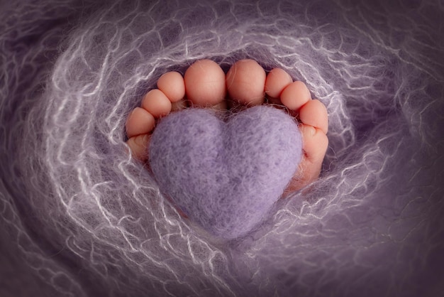 De kleine voet van een pasgeboren baby Zachte voeten van een pasgeborene in een paars lila wollen deken Close-up van tenen, hakken en voeten van een pasgeborene Gebreid paars lila hart in de benen van een baby Macro