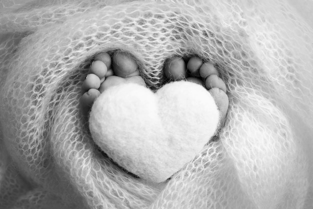 De kleine voet van een pasgeboren baby Zachte voeten van een pasgeborene in een wollen deken Close-up van tenen, hielen en voeten van een pasgeborene Gebreid hart in de benen van baby Macrofotografie Zwart-wit